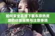 如何安全高效下载东京热资源的详细指南与注意事项