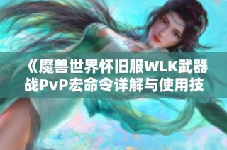 《魔兽世界怀旧服WLK武器战PvP宏命令详解与使用技巧》