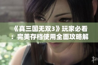 《真三国无双3》玩家必看：完美存档使用全面攻略解析