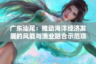 广东汕尾：推动海洋经济发展的风能与渔业融合示范项目解析