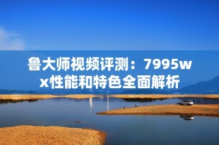 鲁大师视频评测：7995wx性能和特色全面解析