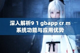 深入解析9 1 gbapp cr m系统功能与应用优势