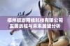 福州顺游网络科技有限公司发展历程与未来展望分析