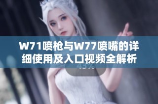 W71喷枪与W77喷嘴的详细使用及入口视频全解析