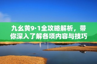 九幺黄9·1全攻略解析，带你深入了解各项内容与技巧