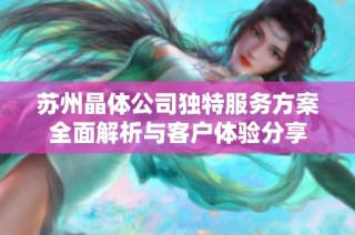 苏州晶体公司独特服务方案全面解析与客户体验分享