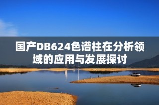 国产DB624色谱柱在分析领域的应用与发展探讨