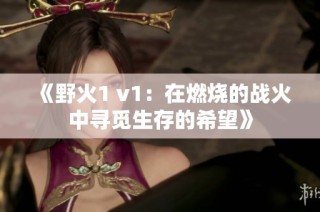 《野火1 v1：在燃烧的战火中寻觅生存的希望》