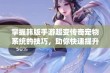 掌握韩版手游超变传奇宠物系统的技巧，助你快速提升战斗力的全面攻略