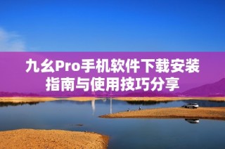 九幺Pro手机软件下载安装指南与使用技巧分享