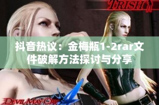 抖音热议：金梅瓶1-2rar文件破解方法探讨与分享