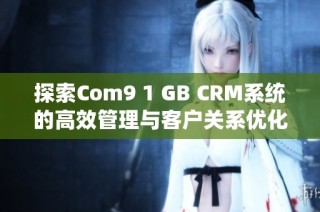 探索Com9 1 GB CRM系统的高效管理与客户关系优化解决方案