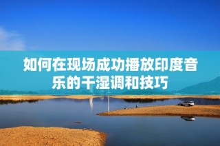 如何在现场成功播放印度音乐的干湿调和技巧