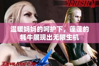 温暖妈妈的呵护下，蓬蓬的牦牛展现出无限生机