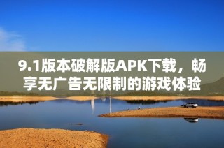 9.1版本破解版APK下载，畅享无广告无限制的游戏体验