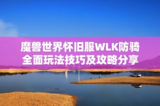 魔兽世界怀旧服WLK防骑全面玩法技巧及攻略分享