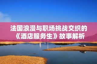 法国浪漫与职场挑战交织的《酒店服务生》故事解析