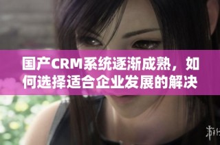 国产CRM系统逐渐成熟，如何选择适合企业发展的解决方案