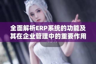 全面解析ERP系统的功能及其在企业管理中的重要作用