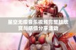 星空无痕音乐视频完整版欣赏与感悟分享活动