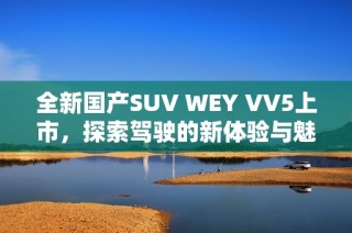 全新国产SUV WEY VV5上市，探索驾驶的新体验与魅力