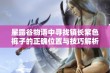 星露谷物语中寻找镇长紫色裤子的正确位置与技巧解析