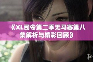 《XL司令第二季无马赛第八集解析与精彩回顾》