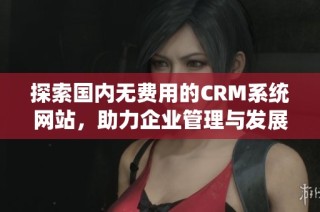 探索国内无费用的CRM系统网站，助力企业管理与发展