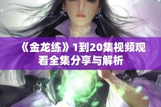 《金龙练》1到20集视频观看全集分享与解析