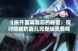 《揭开面具背后的秘密：探讨隐藏的面孔完整版免费观看》