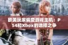 欧美玩家偏爱游戏主机：PS4和Xbox的选择之争