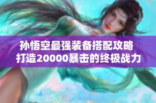 孙悟空最强装备搭配攻略 打造20000暴击的终极战力