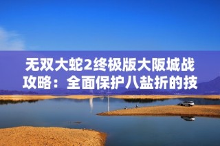 无双大蛇2终极版大阪城战攻略：全面保护八盐折的技巧与策略分享