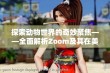 探索动物世界的奇妙聚焦——全面解析Zoom及其在美国的应用