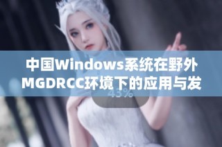 中国Windows系统在野外MGDRCC环境下的应用与发展探讨