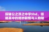 探秘公之浮之中字5hd，领略其中的绝妙剧情与人物魅力