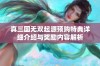 真三国无双起源预购特典详细介绍与奖励内容解析