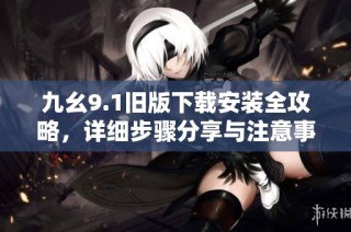 九幺9.1旧版下载安装全攻略，详细步骤分享与注意事项