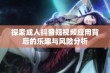 探索成人抖音短视频应用背后的乐趣与风险分析