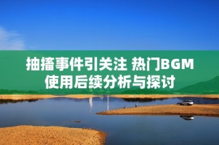 抽搐事件引关注 热门BGM使用后续分析与探讨