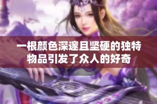 一根颜色深邃且坚硬的独特物品引发了众人的好奇