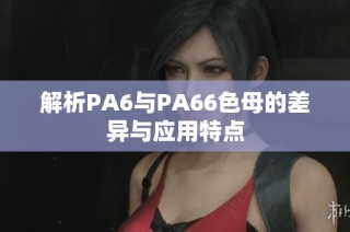 解析PA6与PA66色母的差异与应用特点