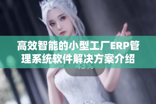 高效智能的小型工厂ERP管理系统软件解决方案介绍