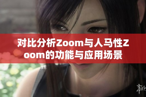 对比分析Zoom与人马性Zoom的功能与应用场景