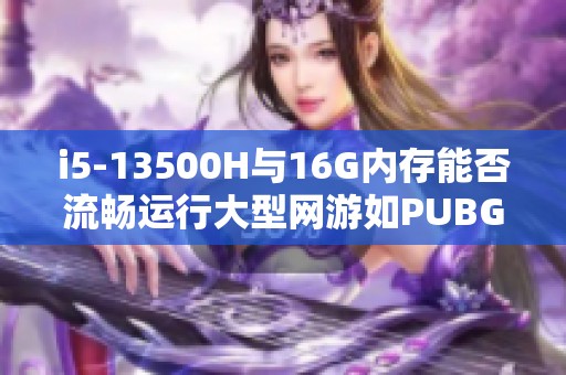 i5-13500H与16G内存能否流畅运行大型网游如PUBG和CSGO