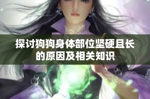 探讨狗狗身体部位坚硬且长的原因及相关知识