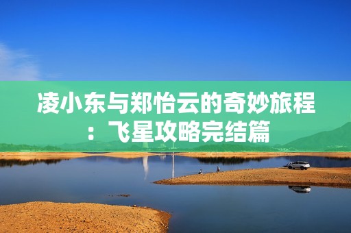 凌小东与郑怡云的奇妙旅程：飞星攻略完结篇