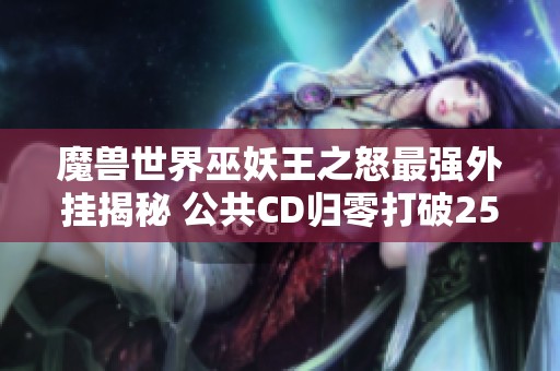 魔兽世界巫妖王之怒最强外挂揭秘 公共CD归零打破25H巫妖王记录