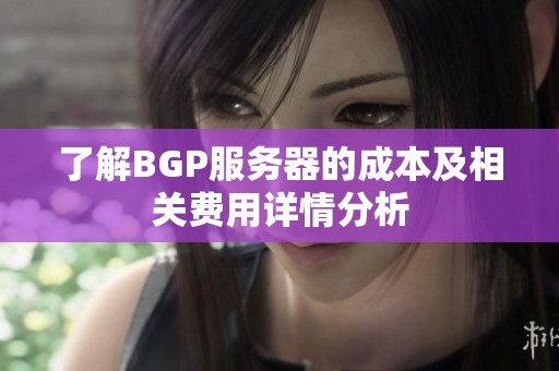 了解BGP服务器的成本及相关费用详情分析