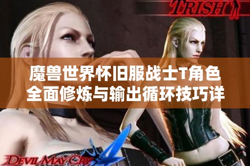 魔兽世界怀旧服战士T角色全面修炼与输出循环技巧详细解析指南